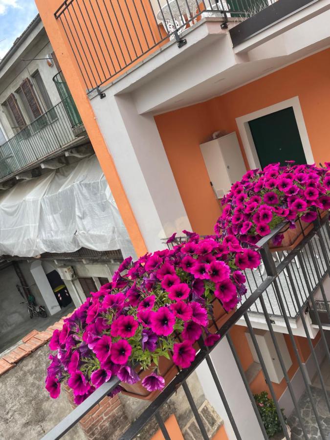 Apartamento Residenza Nikol Casale Monferrato Exterior foto